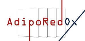 AdipoRedOx_00000